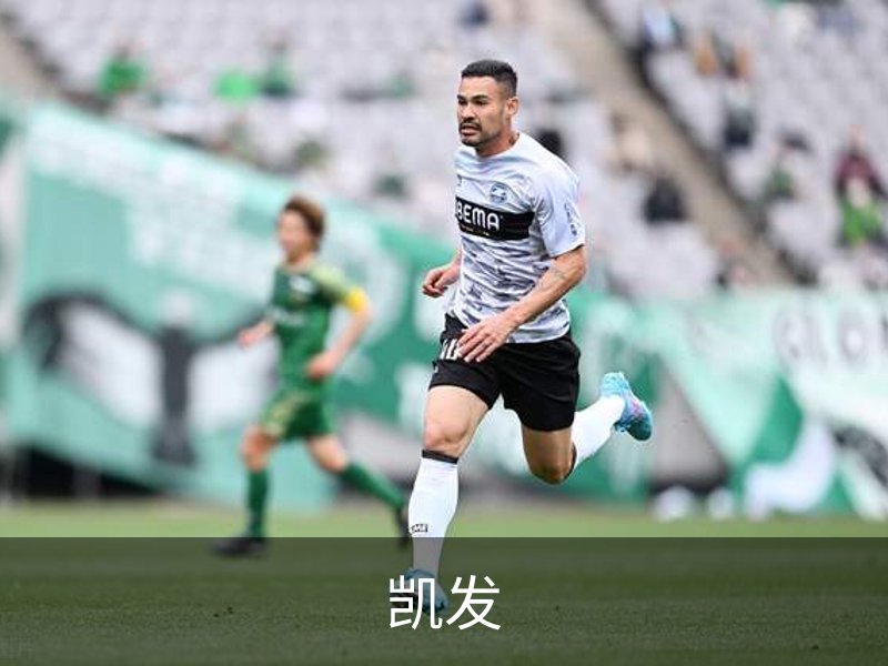 凯发简介
